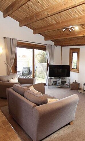 Fernseher, Kamin, DVD-Player, Videothek