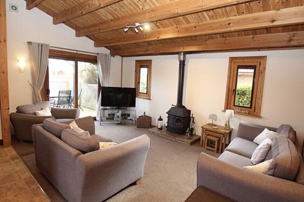 TV, peis, DVD-spiller og filmbibliotek