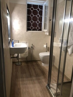 Shower, hair dryer, towels