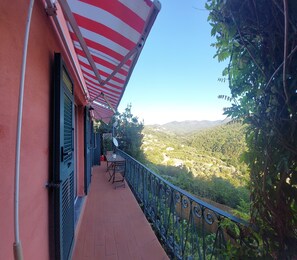 Property grounds -  "Ma Se Ghe Penso" Apartment 1 Near Sestri Levante - Portofino - 5 Terre  (Castiglione Chiavarese - Sestri Levante)