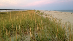 A beach with tall grass in the foreground and a calm sea in the background.
