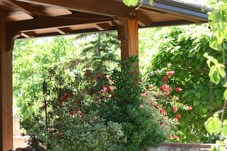 Parco della struttura. Accogliente CHALET DI CAMPAGNA IMMERSO NEL VERDE
E AMPIA VERANDA ESTERNA