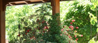 Cozy COUNTRY CHALET IMMERSED IN THE GREEN AND WIDE OUTDOOR VERANDA