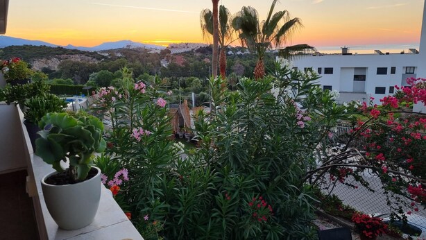 A balcony with potted plants and flowers, overlooking a coastal area with buildings and a sunset. -  Marina de Casarès Dona Julia Golf Andalusia 29690 ES (Casarès costa-malaga andalousie)