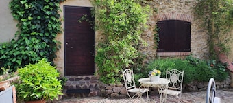 Three rooms furnished and air-conditioned with a garden and terrace