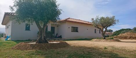 Ein eingeschossiges Haus mit Ziegeldach, einem Baum im Vorgarten und einem kleinen Garten.