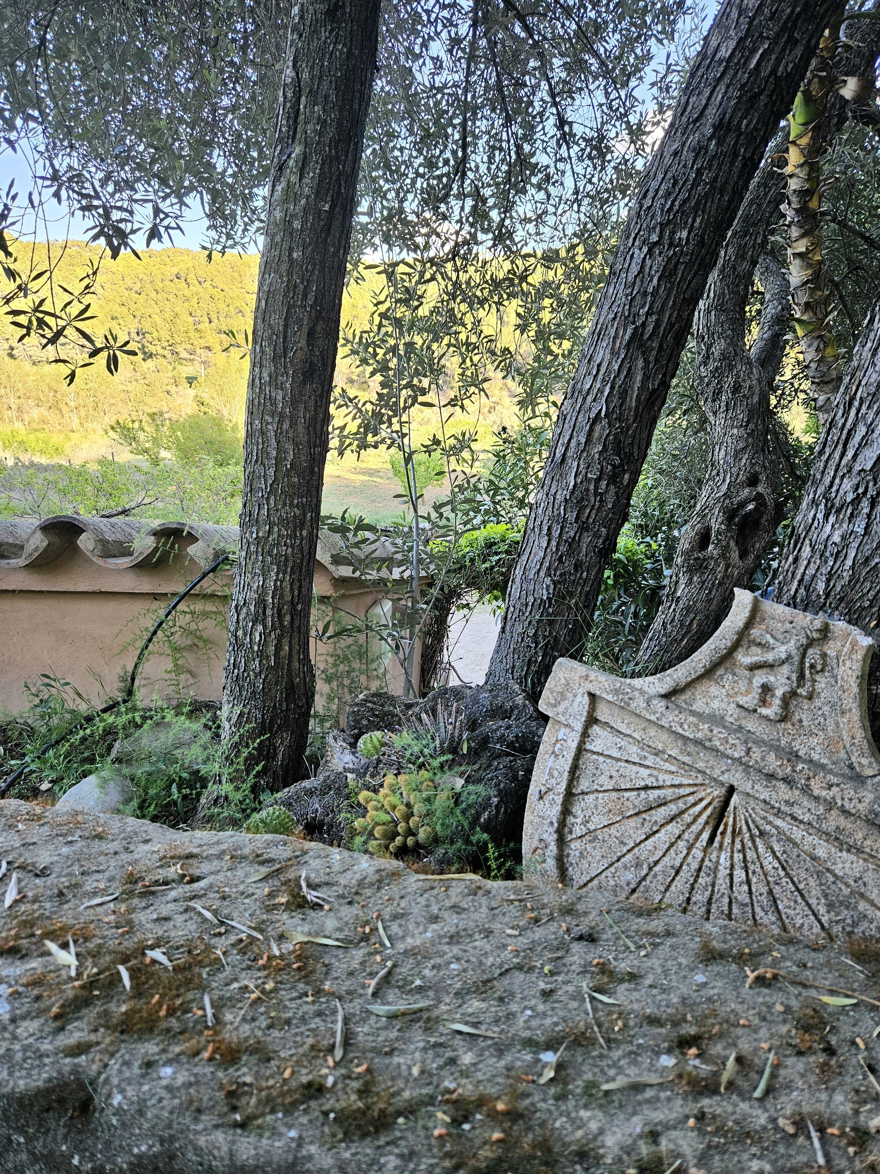Un banco de piedra con un diseño tallado, rodeado de árboles y vegetación.