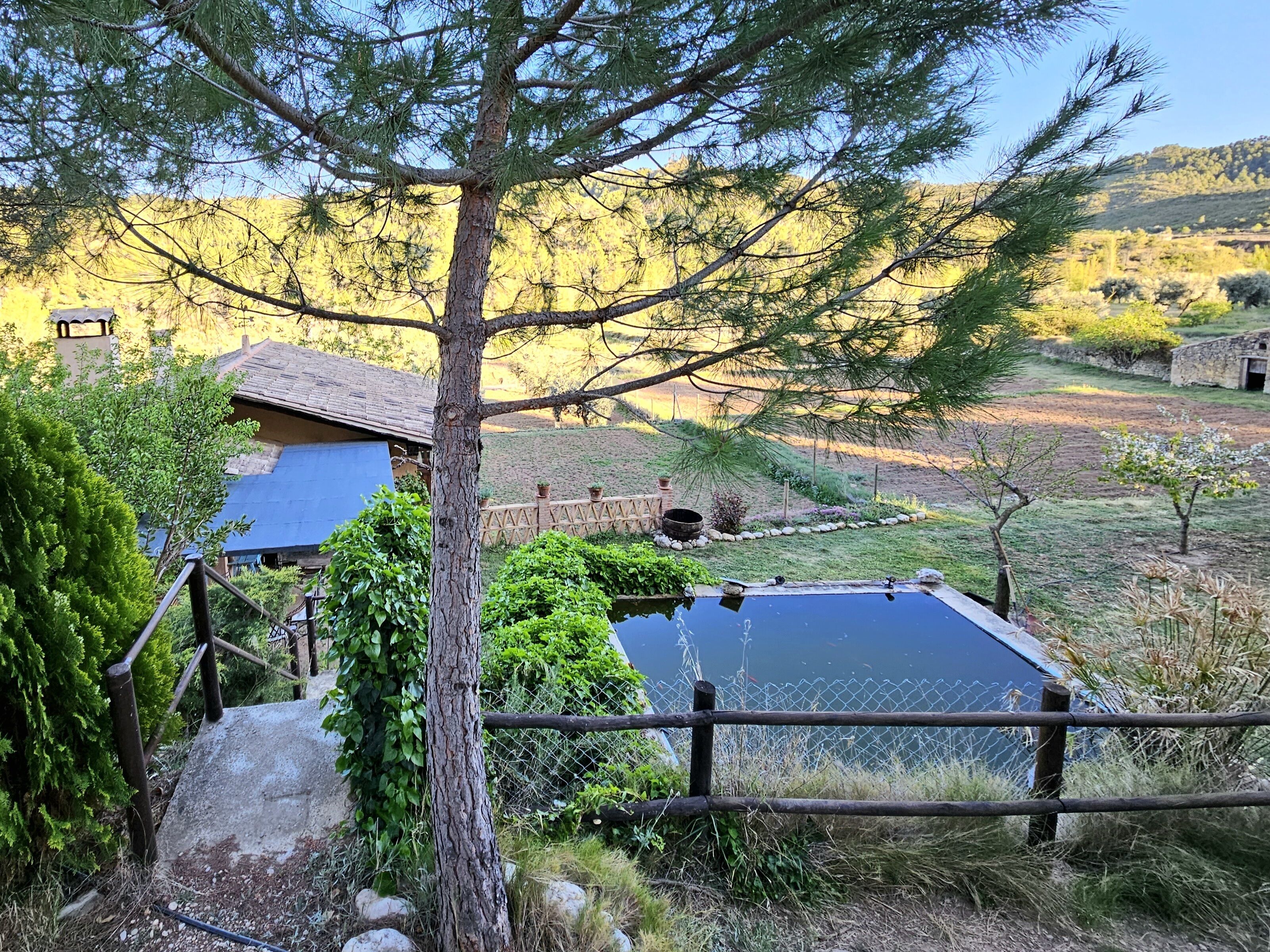 Una cabaña rústica con piscina, rodeada de exuberante vegetación y un patio cercado.