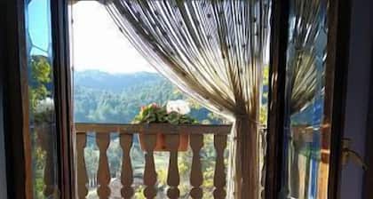 Country house (full rental) Finca Josentonio for 4 people