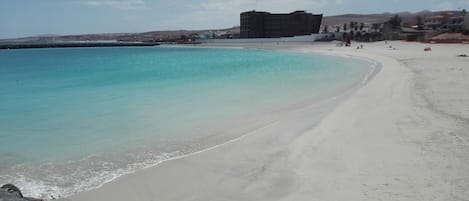 بالقرب من الشاطئ