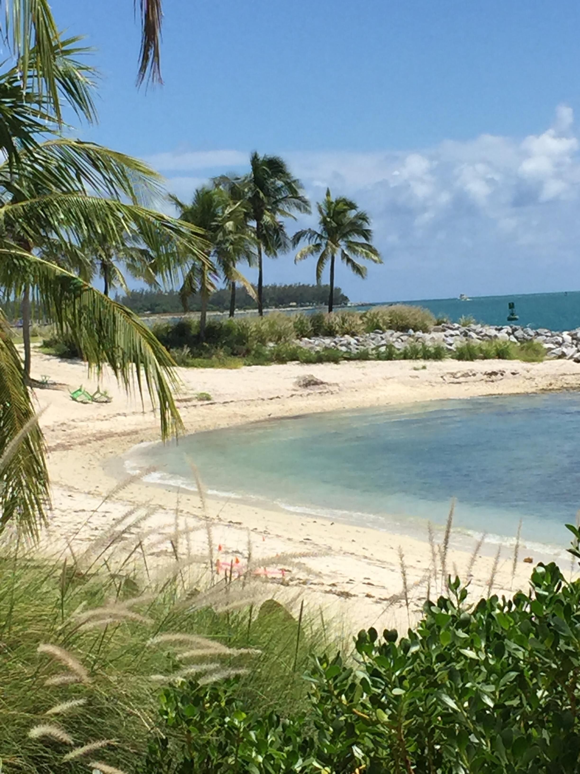 ビーチの近く、ビーチタオル