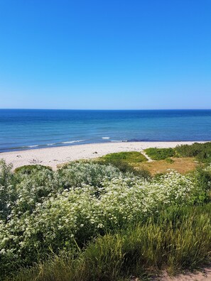 Une plage de sable blanc, avec une végétation verdoyante au premier plan.