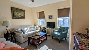 Smart TV, DVD player, books, video library