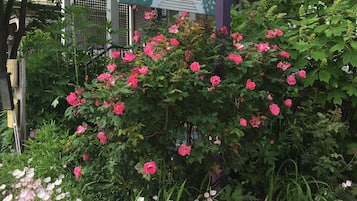 外观细节