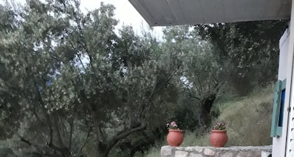 ÎÎčαΌÎÏÎčÏΌα ΌΔ ΞÎα ÏηΜ ΞΏλαÏÏα