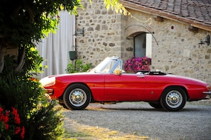 Property grounds - Large Chianti Estate, Tuscany weddings, retreats, celebrations, workshops (Castellina in Chianti)