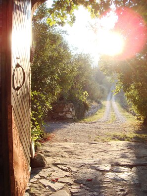 Property grounds - Beautiful 1-bedroom cottage with garden and views over olive groves, pool (Siena)