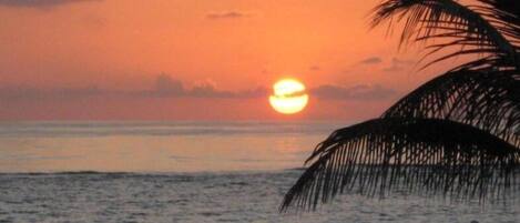 Ein Sonnenuntergang über dem Meer mit einer Silhouette einer Palme.