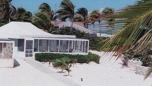 Un edificio moderno con ampie finestre, circondato da palme e da un paesaggio sabbioso.