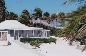 Situated on a sandy beach, this single-story building features large windows and a minimalist design surrounded by lush greenery.