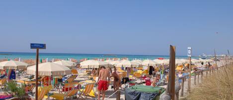 Playa