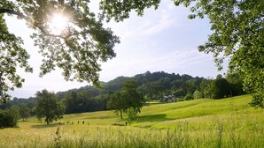 A grassy field with trees and a house in the background. - The Music Country House, between Asolo, the Prosecco hills and Monte Grappa (Castelcies)