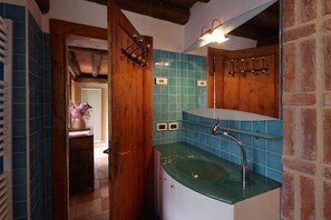 Shower, jetted tub, hair dryer, bidet