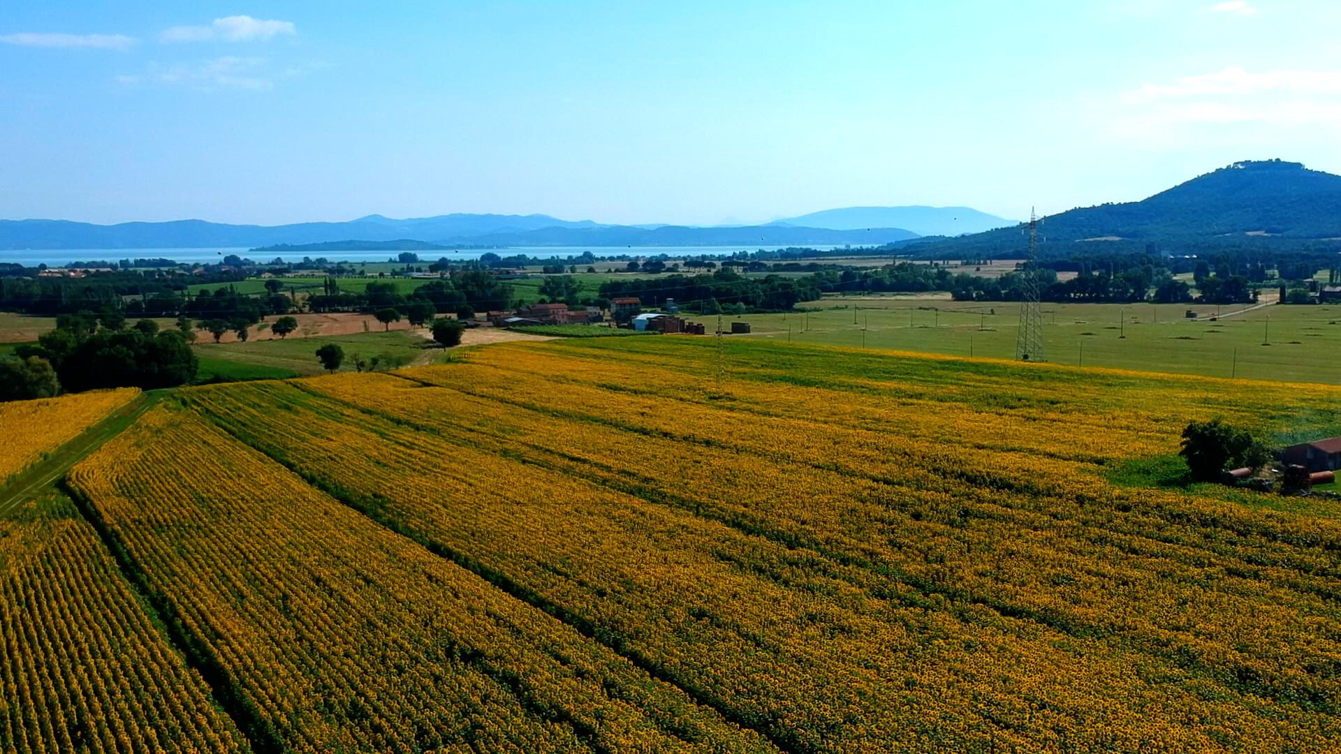 A vast agricultural field with rows of crops, a distant mountain range, and scattered buildings.