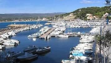 Marina