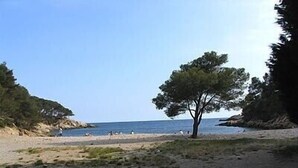 Una playa con un árbol solitario, acantilados rocosos y un cielo despejado.