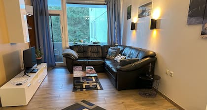 Modern Apartment with free WIFI and Netflix