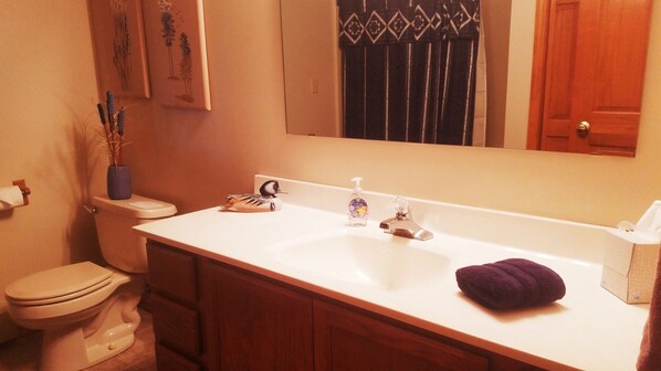 A bathroom with a white sink, a toilet, a mirror, and a wooden cabinet. - Peaceful Lake Home with 3 bed/3 bath+ 2 bonus bedrooms with 2 kings or 4 twins (Woodruff)