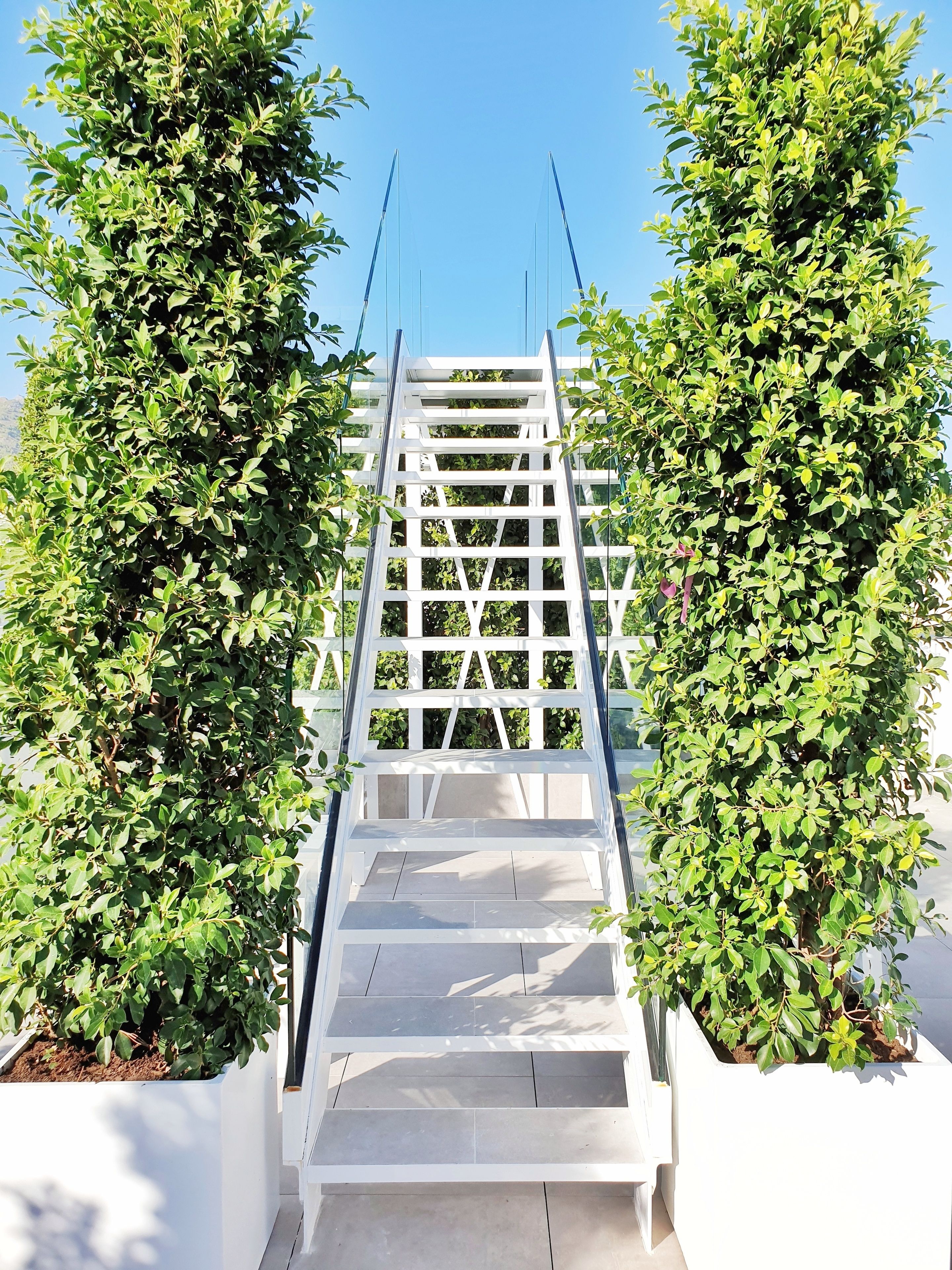 テラス / パティオ