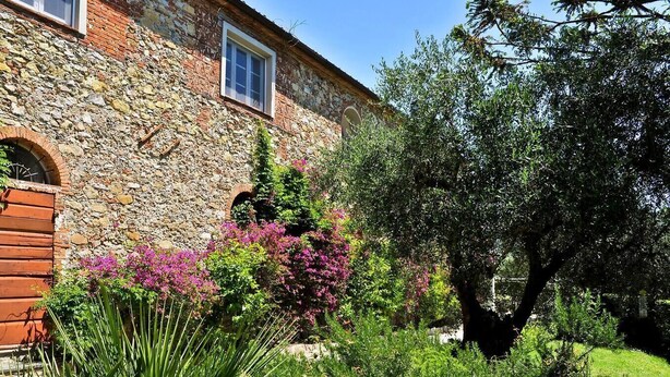 Un edificio in pietra con una finestra e un arco d'ingresso, circondato da rigogliosa vegetazione e piante fiorite.