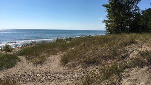 A beach with clear skies, sandy dunes, and a large tree.