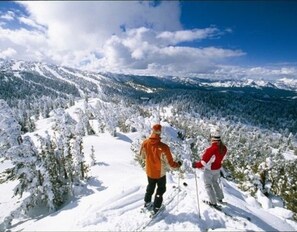Deportes de invierno y ski