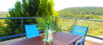 Kripis apartment Paliouri No2