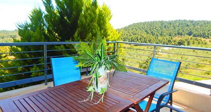 Kripis apartment Paliouri No2