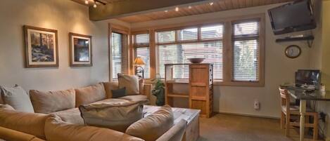 TV, fireplace, DVD player