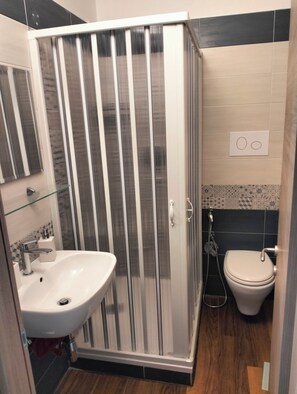 Shower, hair dryer, bidet, towels
