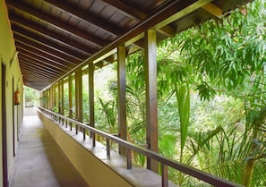 View from room