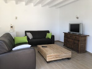 TV, fireplace, video games, DVD player