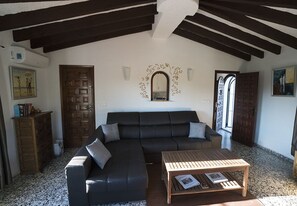 TV, fireplace, video games, DVD player