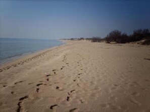 On the beach