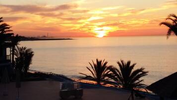 Vista desde la propiedad