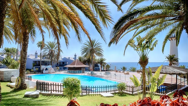Una piscina circondata da palme con vista sul mare.