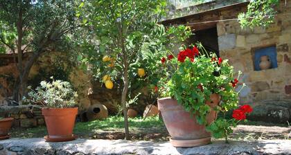 Karfas: Ferienhaus / Villa - Karfas