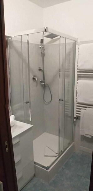 Shower, hair dryer, bidet, towels