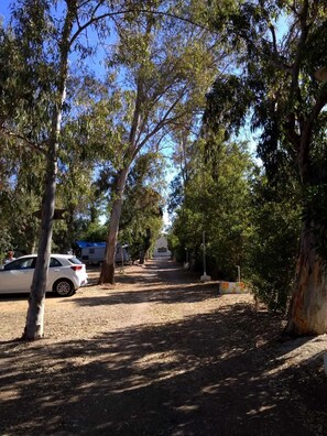 A campsite with tents and a white car parked under trees. - Camping la Naranja (Gandia)