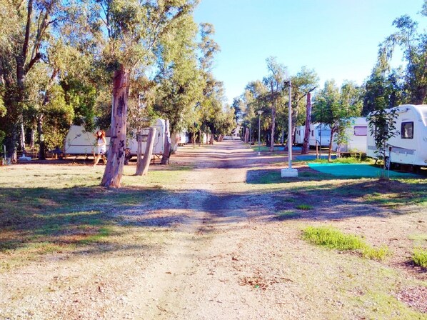 A campground with RVs parked along a dirt path, surrounded by trees. - Camping la Naranja (Gandia)